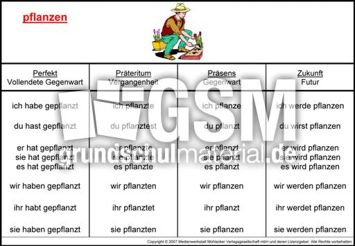 pflanzen-K.jpg